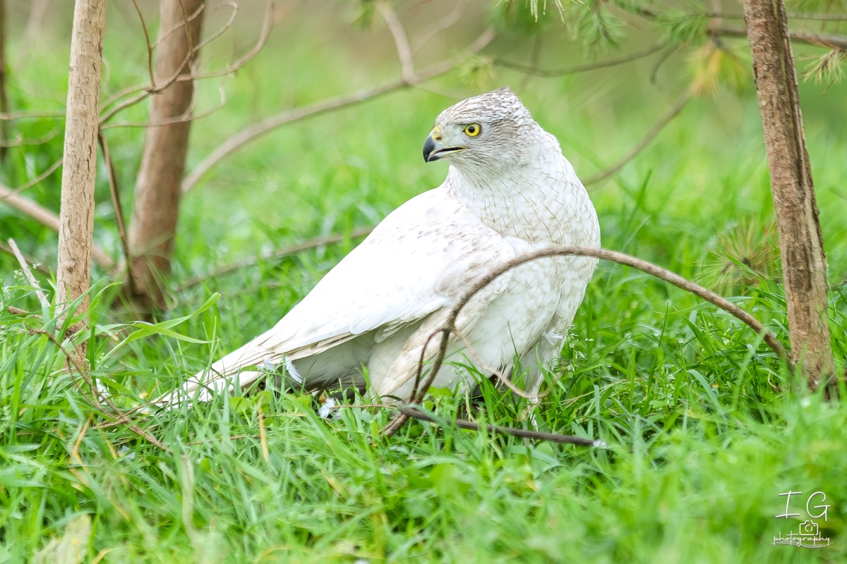 20211023 AK6I9943 insta